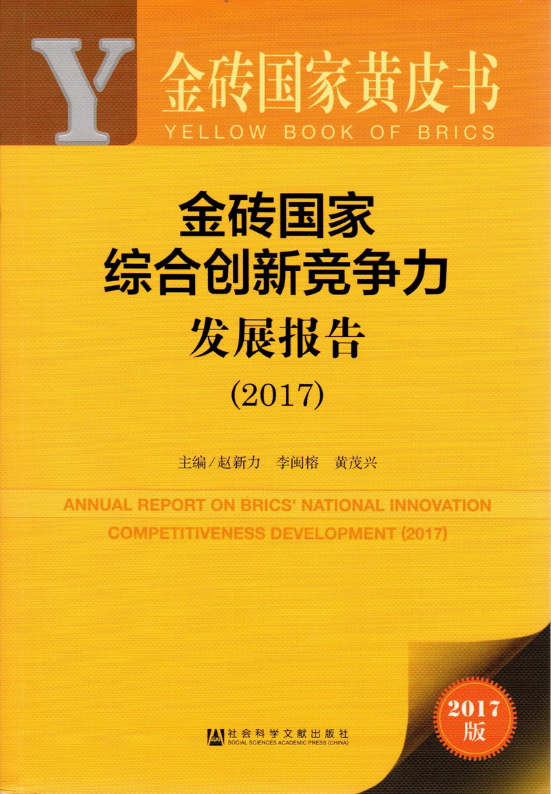 小逼被大鸡巴操视频金砖国家综合创新竞争力发展报告（2017）